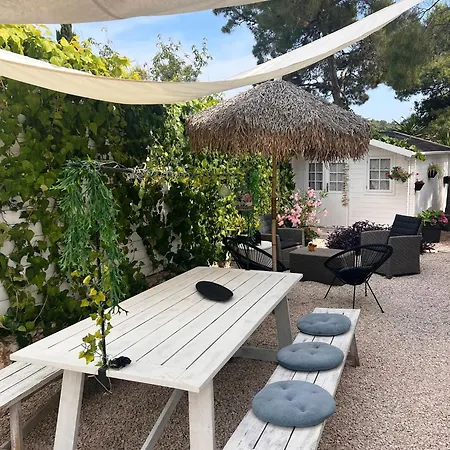 Dolce - 40 M To The Sea & Beach-sleeps 3 * Milna (Brac)